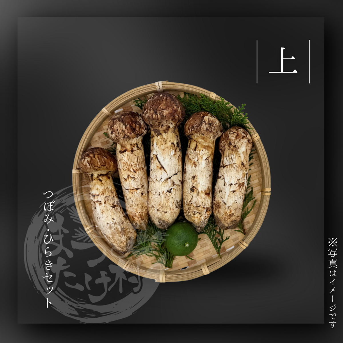 松茸 5籠セット 上】国産松茸セット(つぼみ・ひらき) | まつたけ村